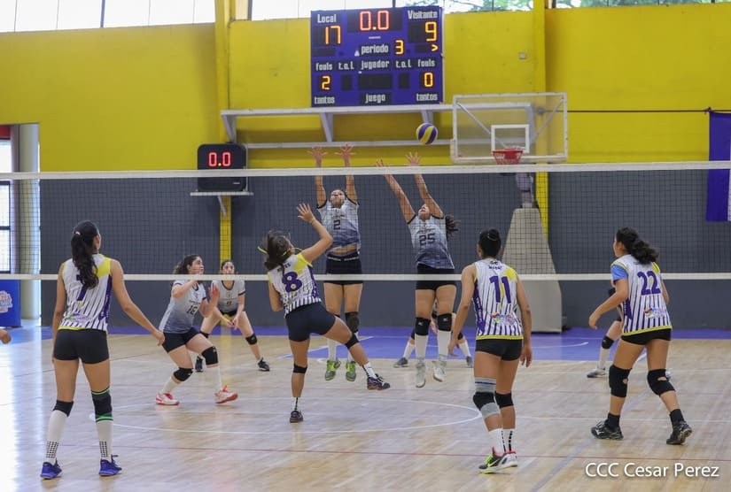 voleibol